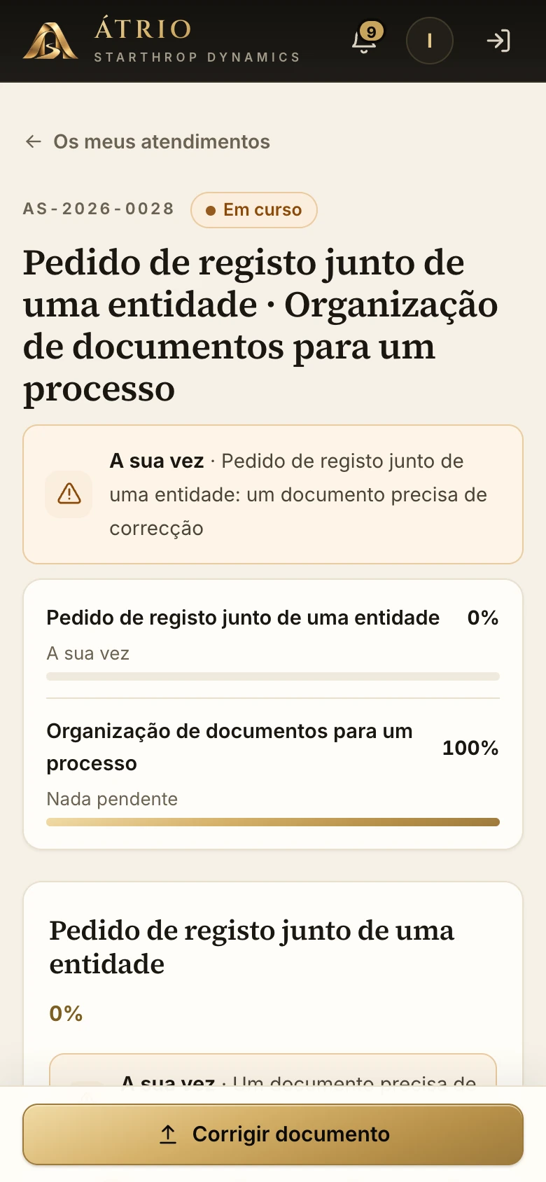 Tela de um atendimento no celular: dois serviços com o progresso de cada um e a indicação de quem precisa agir