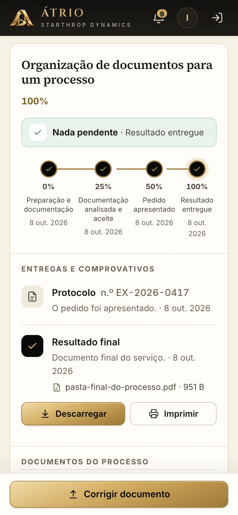 Tela de um serviço concluído a 100 %: protocolo registrado e resultado final com os botões para baixar e imprimir